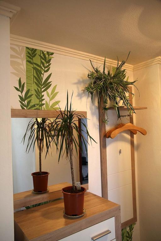 SohrenHaus Panoramawegアパートメント 部屋 写真